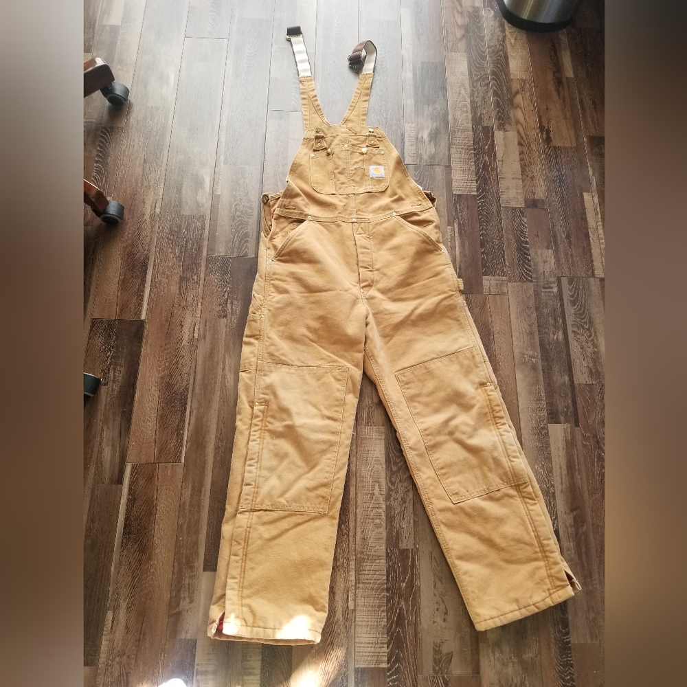 Carhartt Insulated Bibs